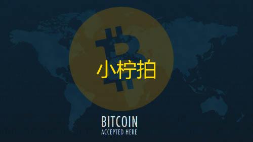 快手点赞自助平台有哪些小柠拍